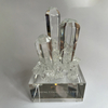 Un cristal collectif à l'OSU THETA ! 