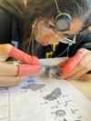 Des collégiens de Villeneuve-la-Guyard initient à l'horlogerie et obtiennent le poinçon Vipère 